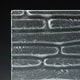 Island Mosaic Textured Glass Panel | Architectural Cast Glass